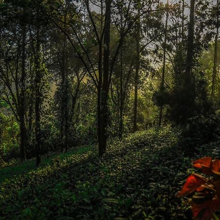Southern Panorama Indriya Resorts & Spa مونار المظهر الخارجي الصورة